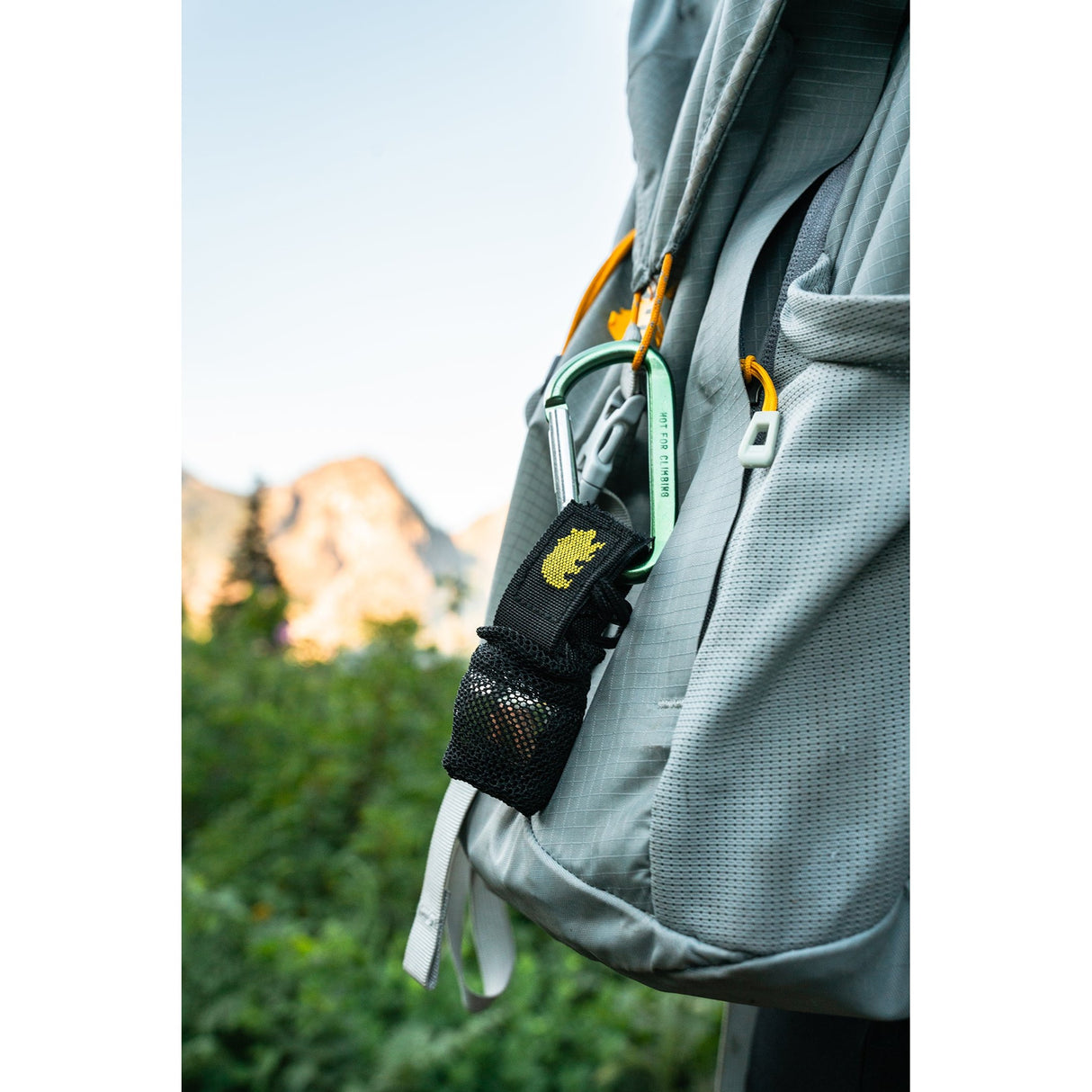 Coghlans - Multi-Pack Carabiners 5 Pack
