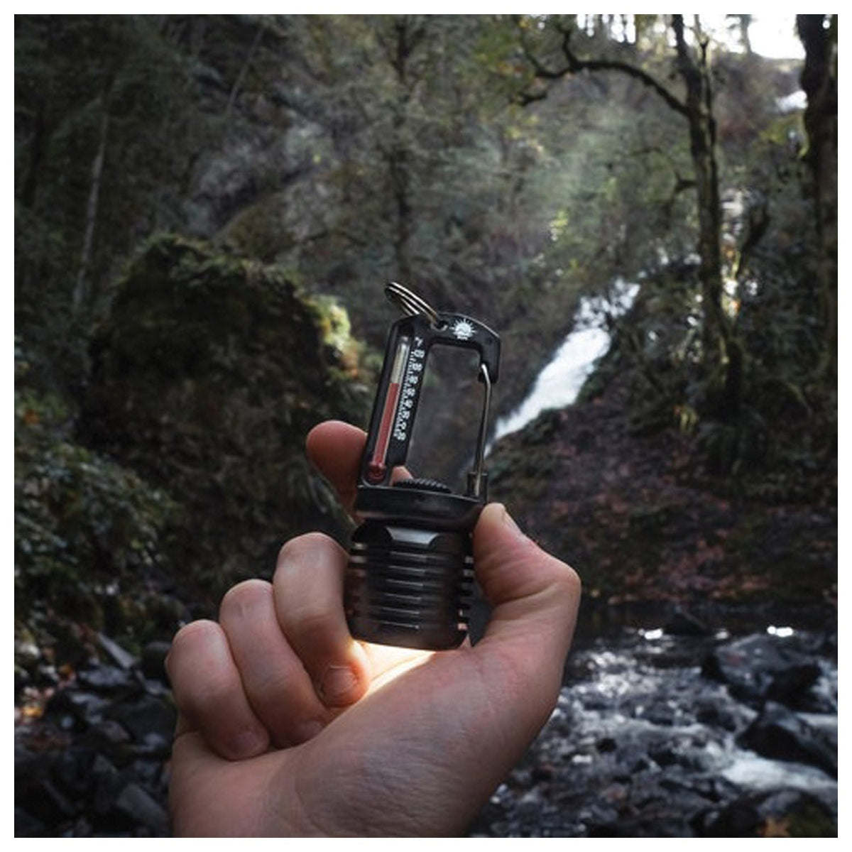 SUN - TEMPATORCH Clip Light with Thermometer