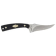 OLD TIMER - 152OT Sharpfinger Knife with Chestnut Bone Handle