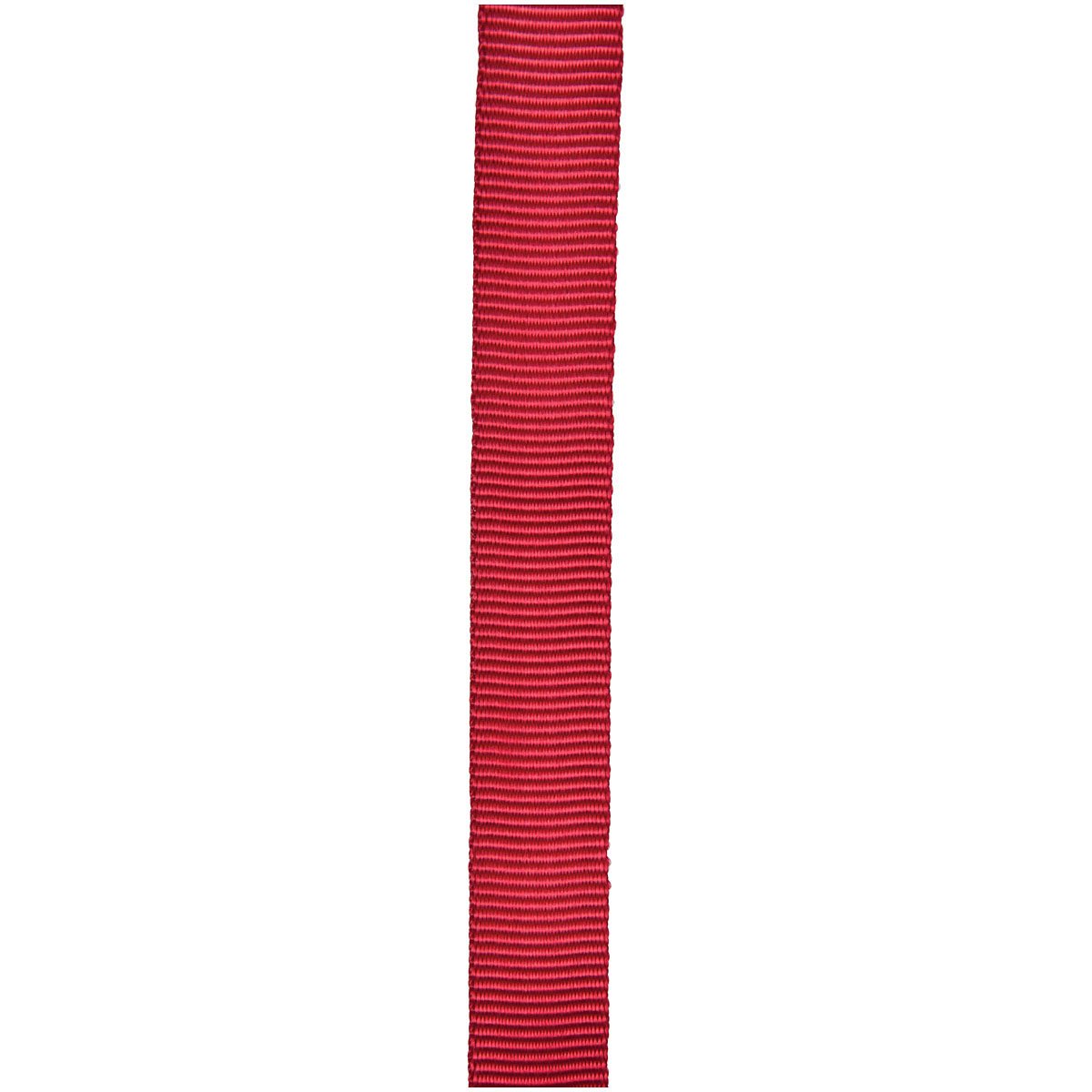 CYPHER - 1" x 300' Red Tube Webbing