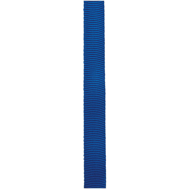 CYPHER - 1" x 300' Royal Tube Webbing