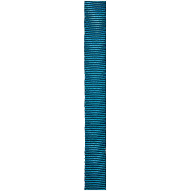 CYPHER - 1" x 300' Teal Tube Webbing