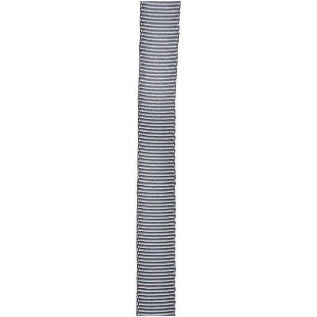 CYPHER - 1" x 300' Silver Tube Webbing