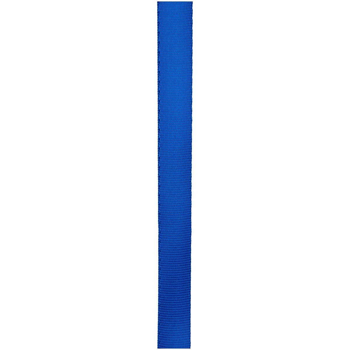 Cypher - 11/16" x 300' Royal Tube Webbing