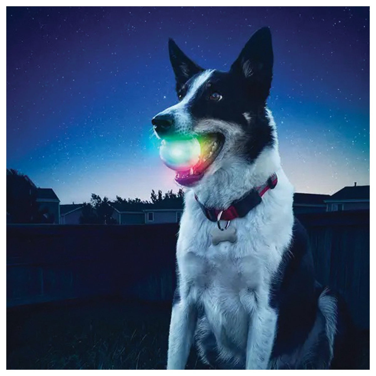NITE IZE - GlowStreak LED Ball - Disc-O