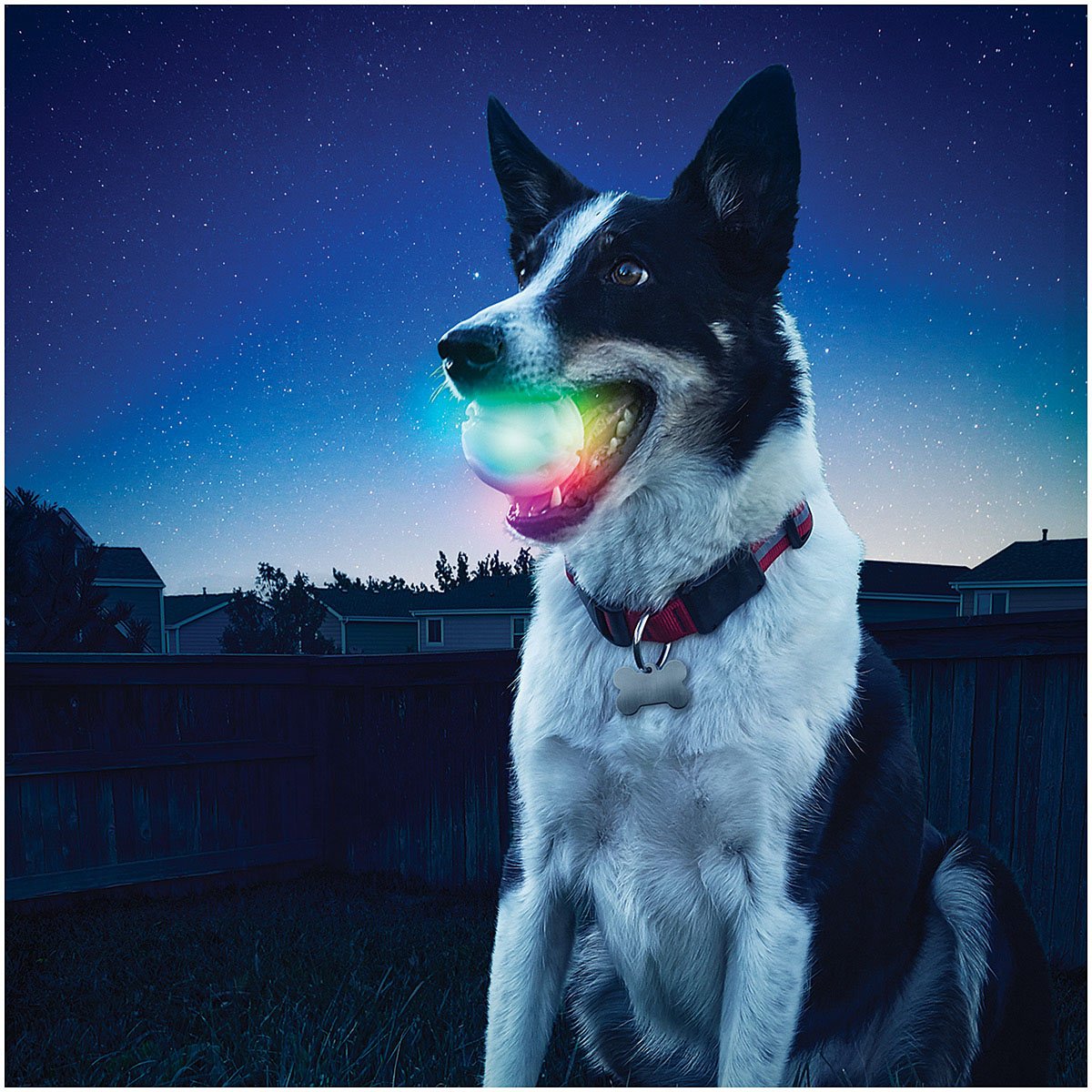 NITE IZE - GlowStreak LED Ball - Disc-O