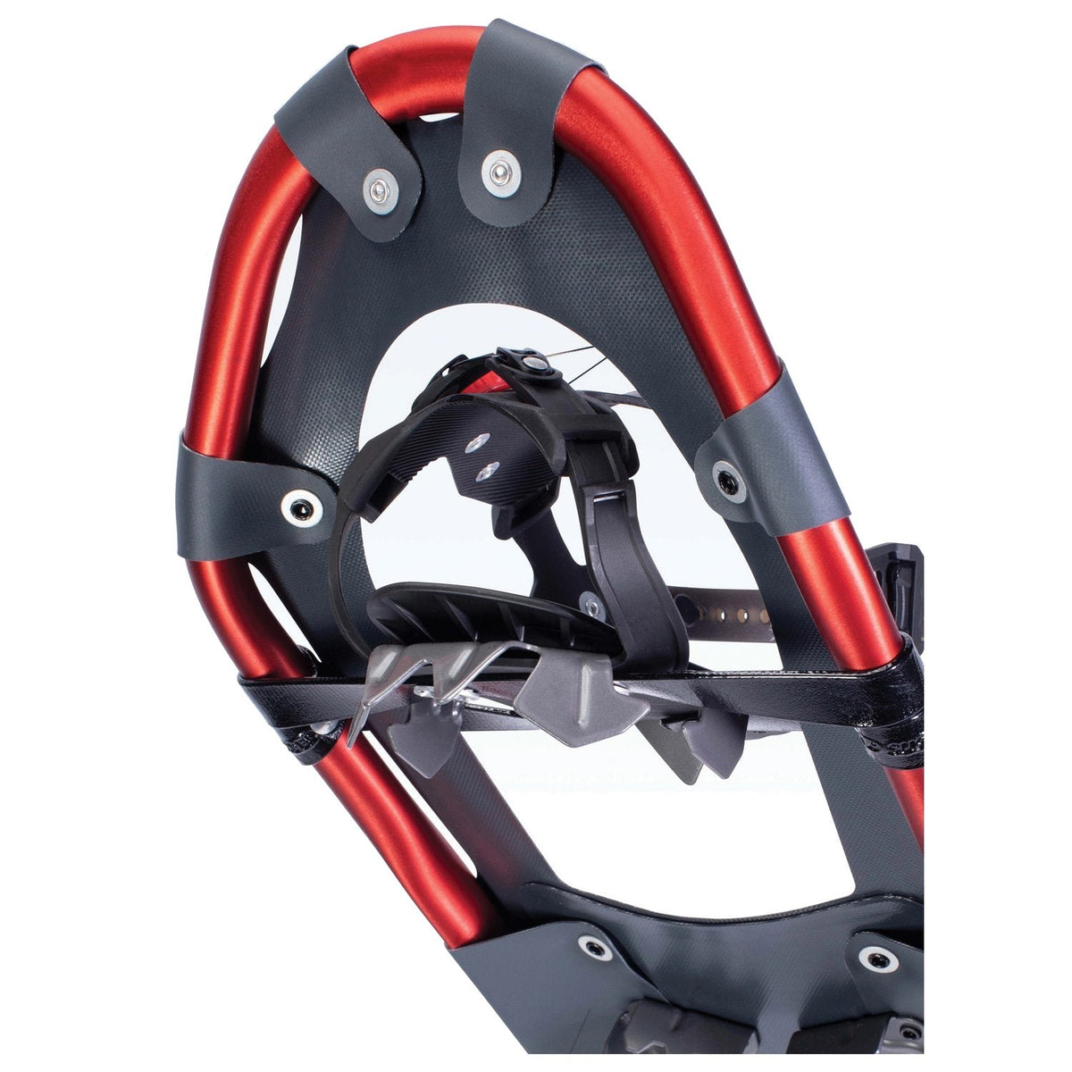 ATLAS - Treeline 30 Snowshoe — view 4