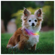 NITE IZE - NiteHowl Mini Rechargeable LED Safety Necklace