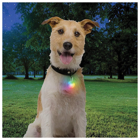 NITE IZE - SpotLit Recharge Collar Light