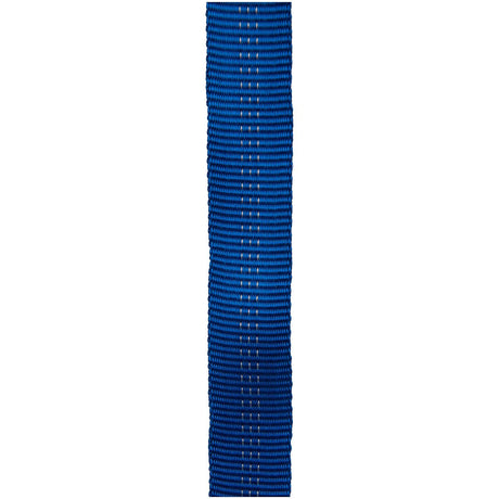 Cypher - 30 FT 1" Tubular Webbing - Blue