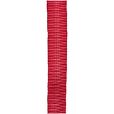 CYPHER - 30 FT 1" Tubular Webbing - Red