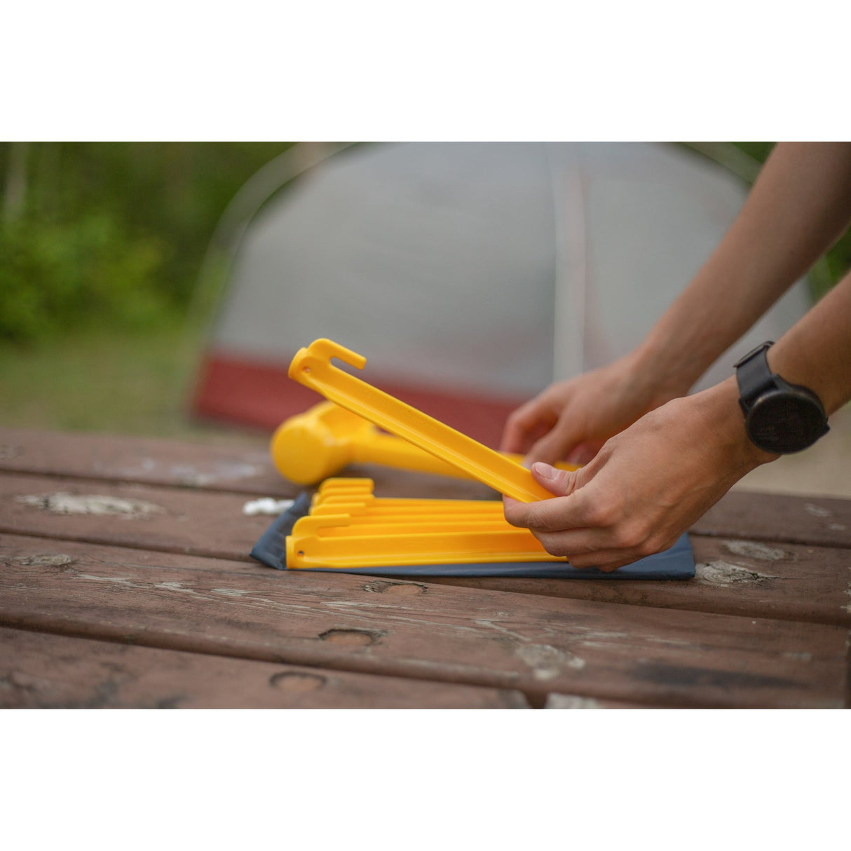 COGHLANS - Tent Pegs 9" 6 Pack