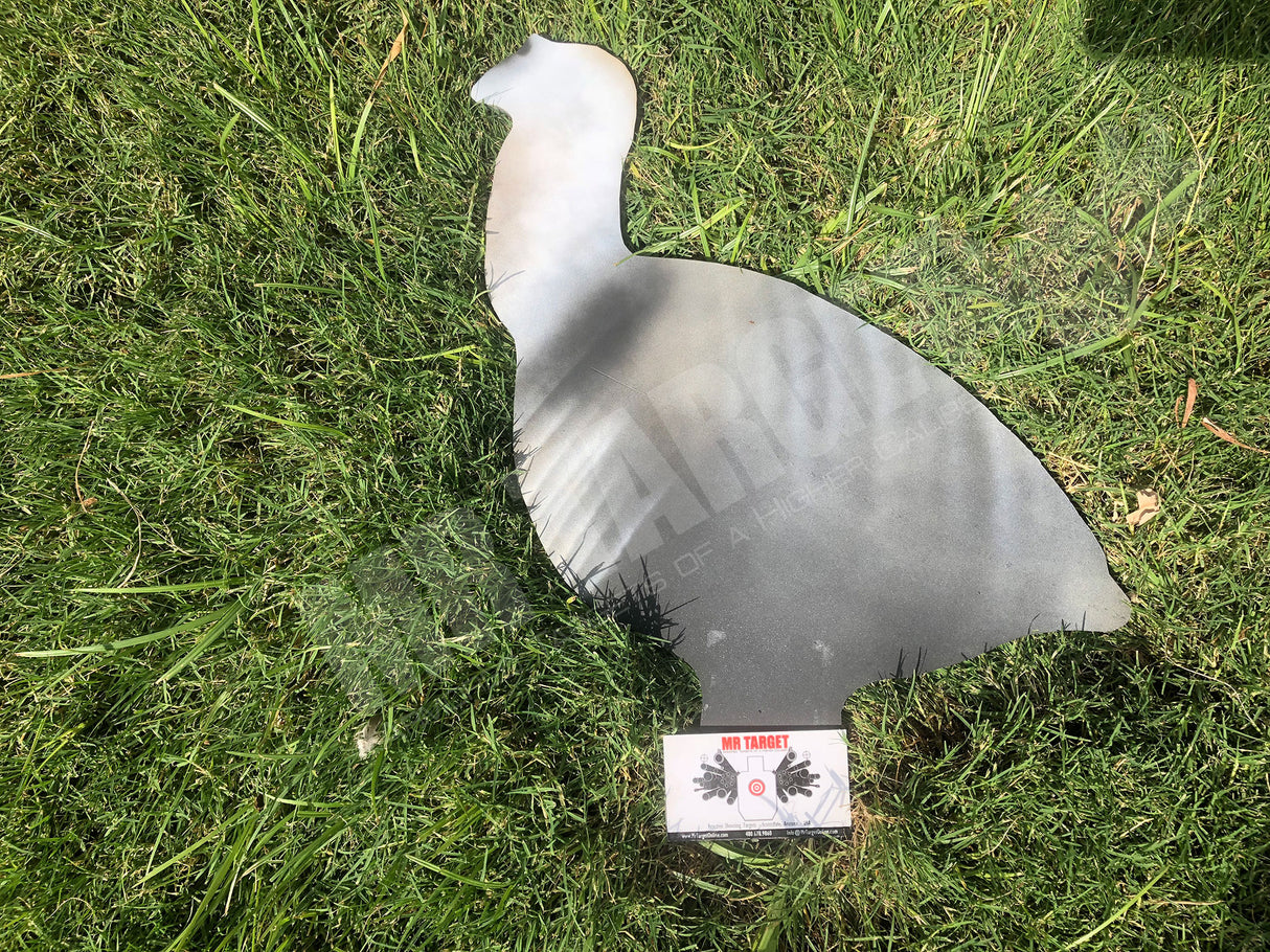 Mr. Target - TURKEY – HEN REACTIVE ANIMAL HUNTING TARGET