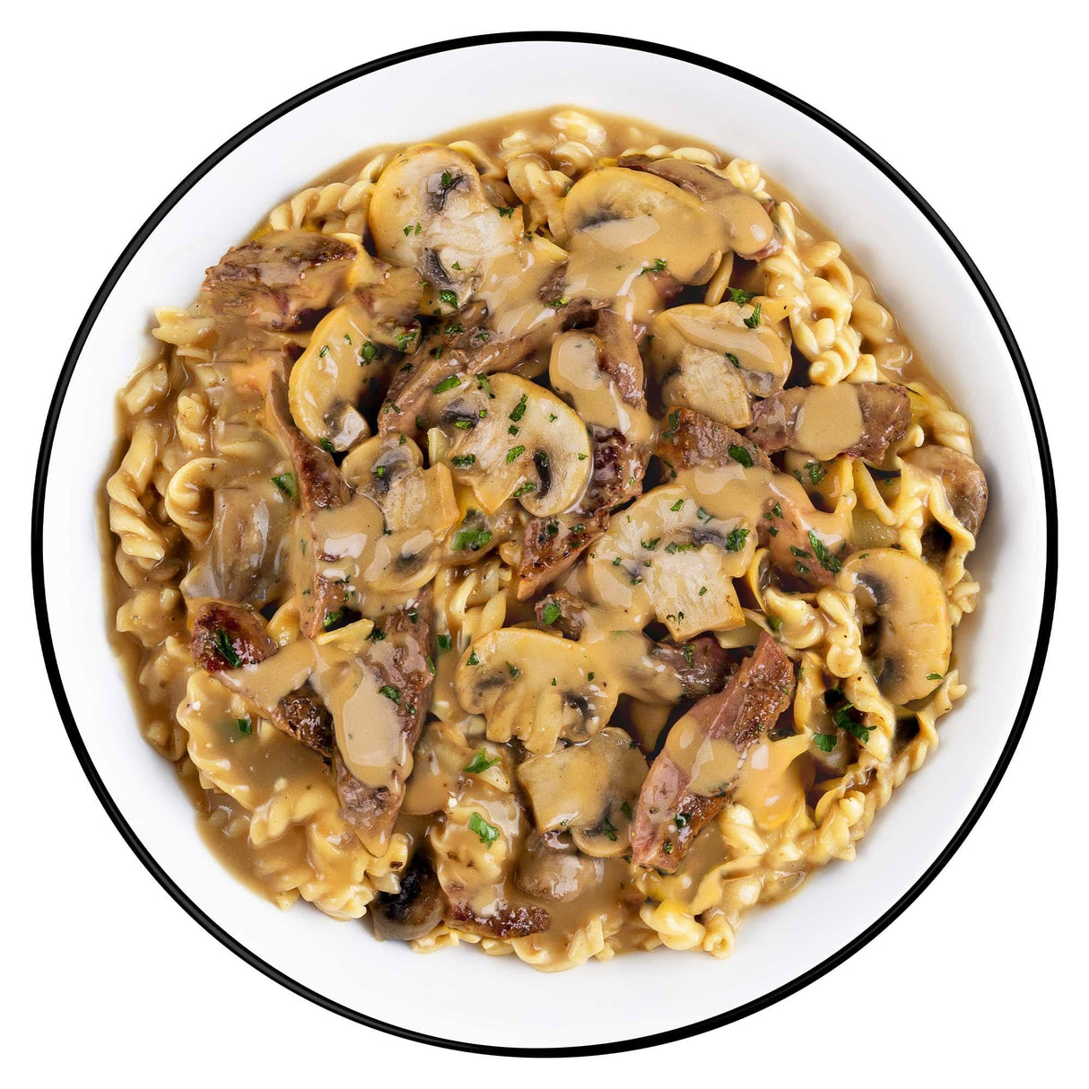 ReadyWise - 6 CT PRO Meal - Beef Stroganoff