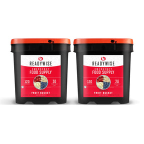 ReadyWise - 240 Serving Freeze Dried Fruit Bundle