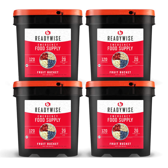 ReadyWise - 480 Serving Freeze Dried Fruit Bundle