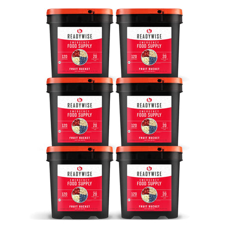 ReadyWise - 720 Serving Freeze Dried Fruit Bundle