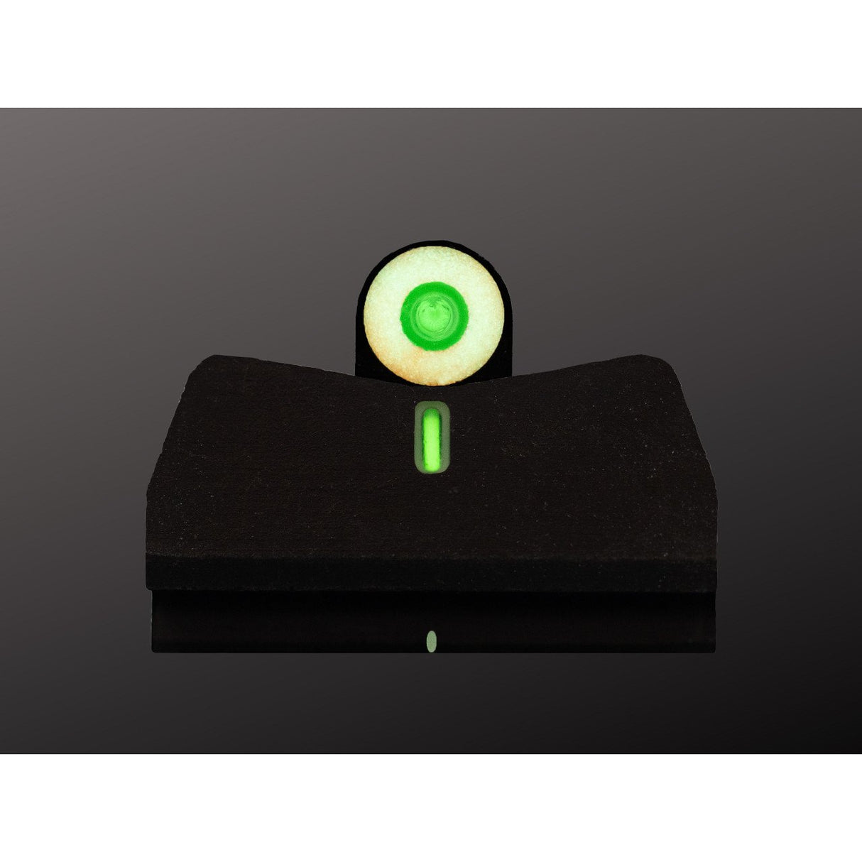XS Sights - DXT2 Big Dot Suppressor Height for Glock