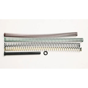True Precision - Recoil Spring Kit for Sig P365-FUSE 4.3"